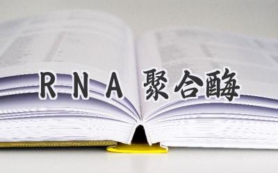 RNA聚合酶