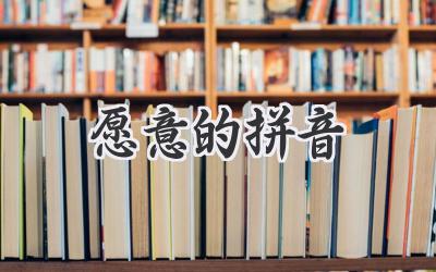 愿意的拼音
