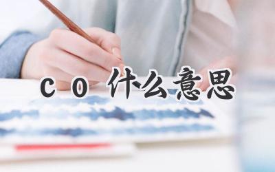 co什么意思