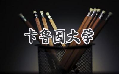 卡鲁因大学