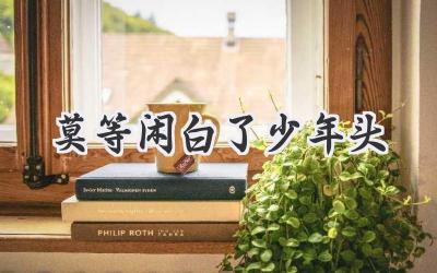莫等闲白了少年头