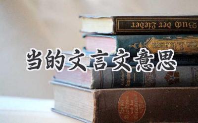 当的文言文意思