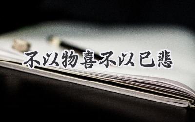 不以物喜不以己悲
