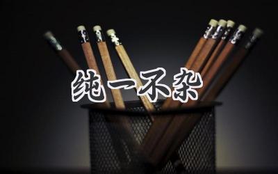 纯一不杂