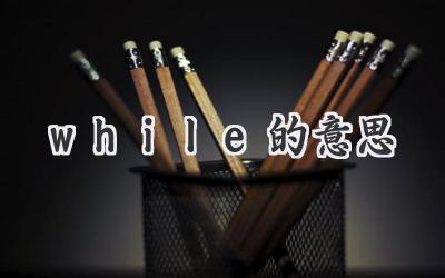 while的意思