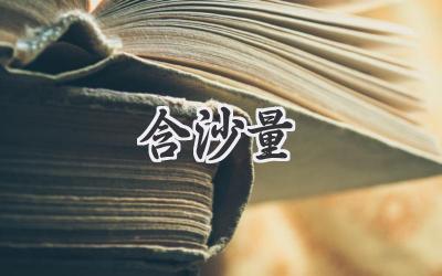 含沙量