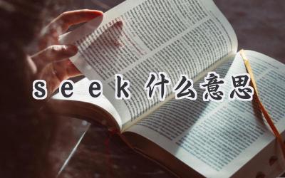 seek什么意思
