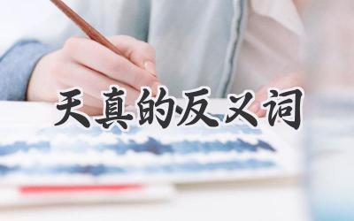 天真的反义词