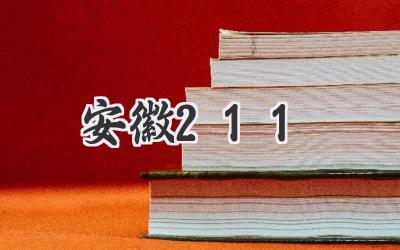 安徽211