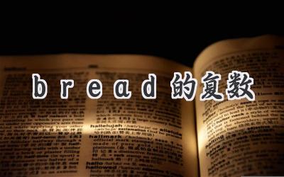 bread的复数