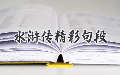水浒传精彩句段