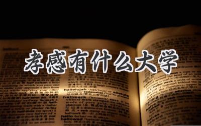 孝感有什么大学