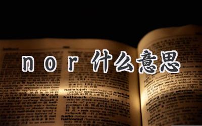 nor什么意思