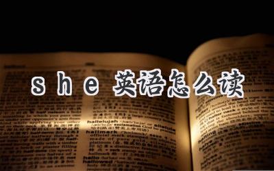 she英语怎么读