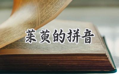茱萸的拼音
