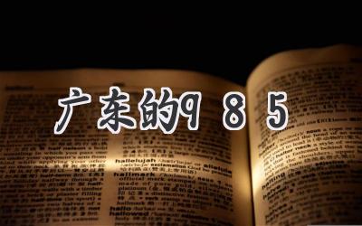 广东的985