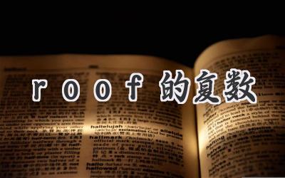 roof的复数