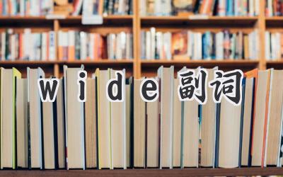 wide副词
