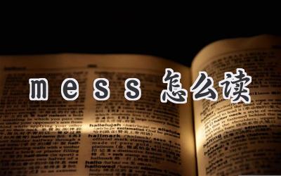 mess怎么读