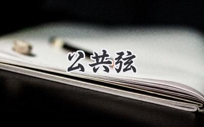 公共弦
