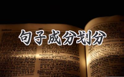 句子成分划分