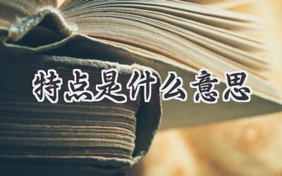 特点是什么意思