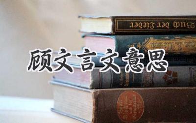 顾文言文意思