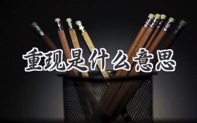 重现是什么意思
