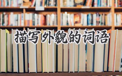描写外貌的词语