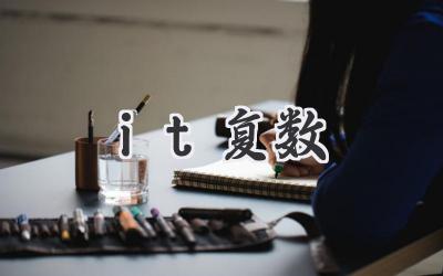 it复数