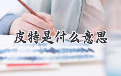 皮特是什么意思