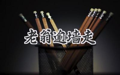 老翁逾墙走