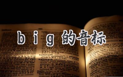 big的音标