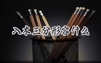 入木三分形容什么