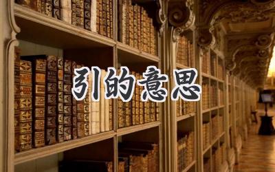 引的意思
