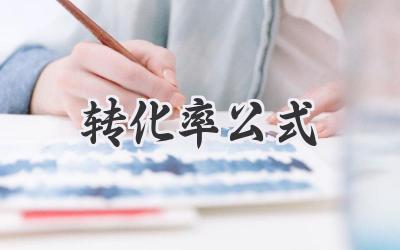 转化率公式