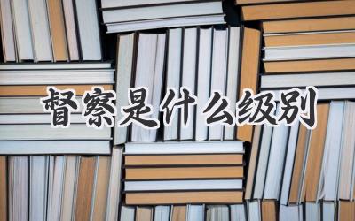 督察是什么级别