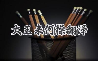 大王来何操翻译