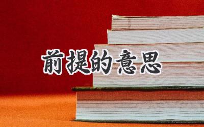 前提的意思