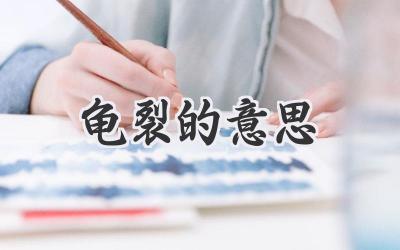 龟裂的意思
