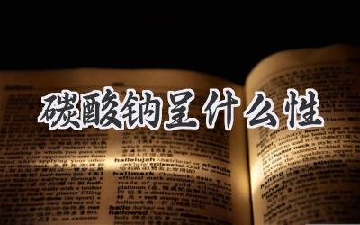 碳酸钠呈什么性