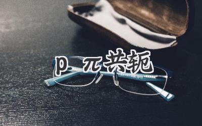 pπ共轭