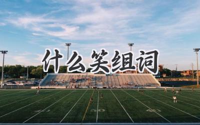 什么笑组词