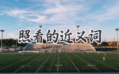 照看的近义词