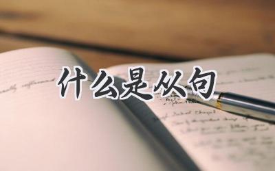 什么是从句