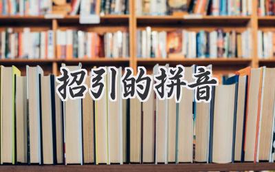 招引的拼音