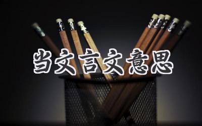 当文言文意思