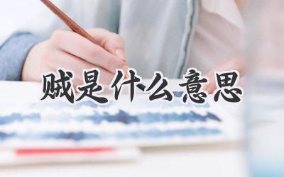 贼是什么意思