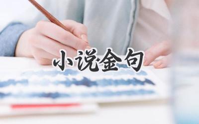 小说金句