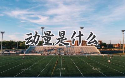 动量是什么
